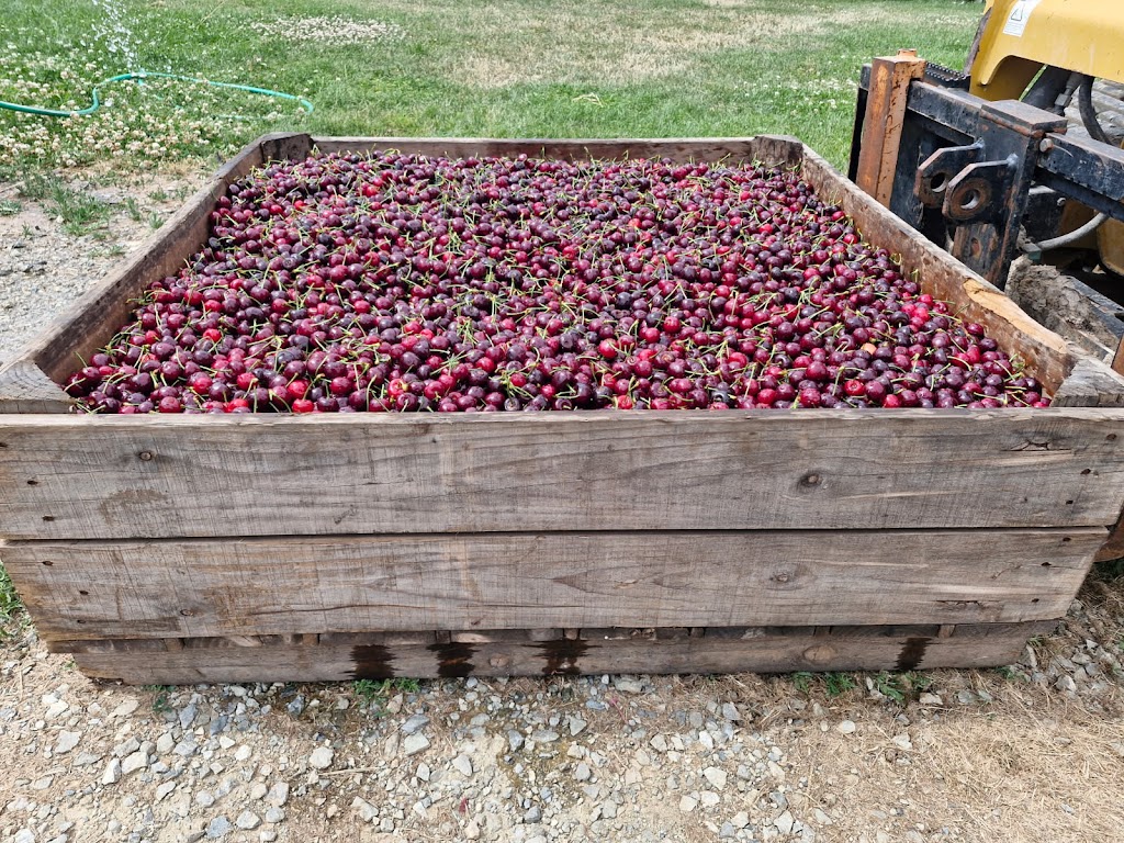 Fardon & Sons Organics | 225 Marshalls Ln, Blayney NSW 2799, Australia | Phone: 0427 148 009