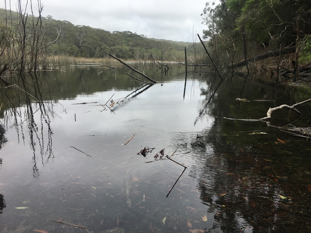 Freshwater Camping Area | Cooloola QLD 4580, Australia