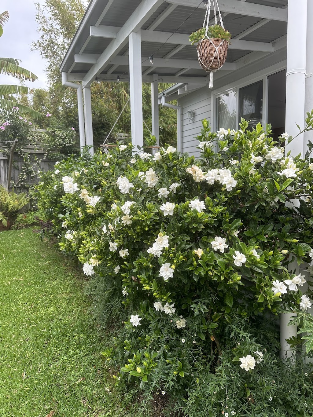 Mullaway Hideaway | 64 Mullaway Dr, Mullaway NSW 2456, Australia | Phone: 0403 611 577