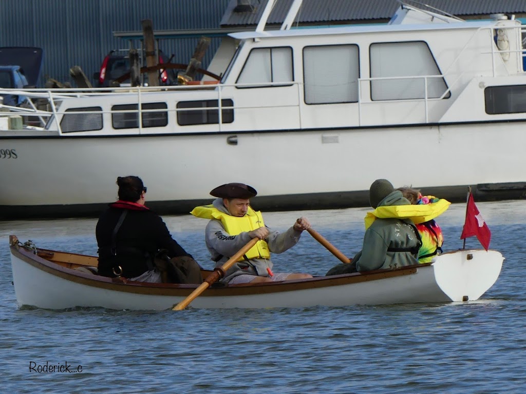 Vogalonga Down Unda, Goolwa Aquatic Club, Goolwa, SA | 92 Barrage Rd, Goolwa South SA 5214, Australia | Phone: 0415 448 657