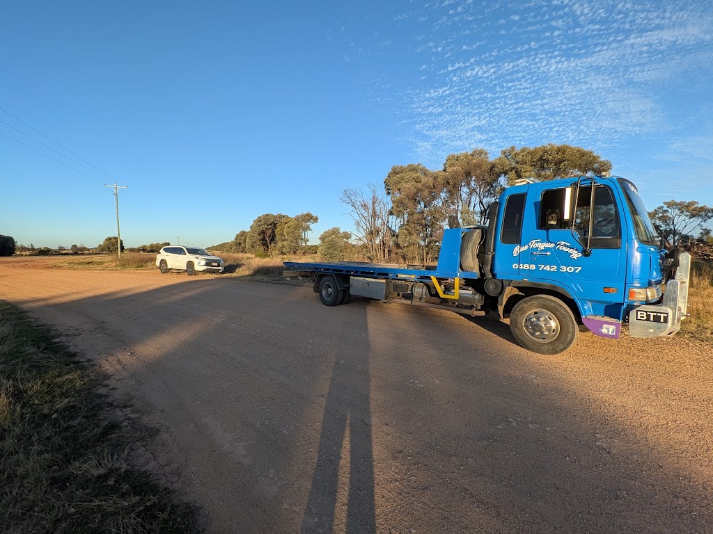 Blue Tongue Towing Western Downs | 8 George St, Meandarra QLD 4422, Australia | Phone: 0488 742 307