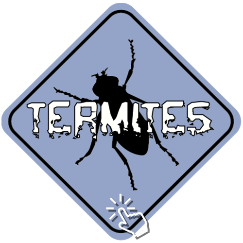 Licensed Termite And Pest Control | 473 King St, Moodlu QLD 4510, Australia | Phone: 0418 724 449