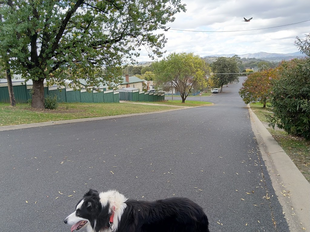 Fitzroy Street Park | park | Fitzroy St, Tumut NSW 2720, Australia