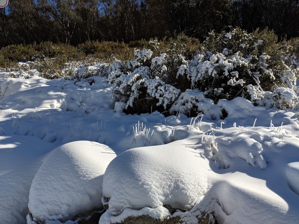 Thredbo Snow Sports School |  | Friday Dr, Thredbo NSW 2625, Australia | 0264594044 OR +61 2 6459 4044