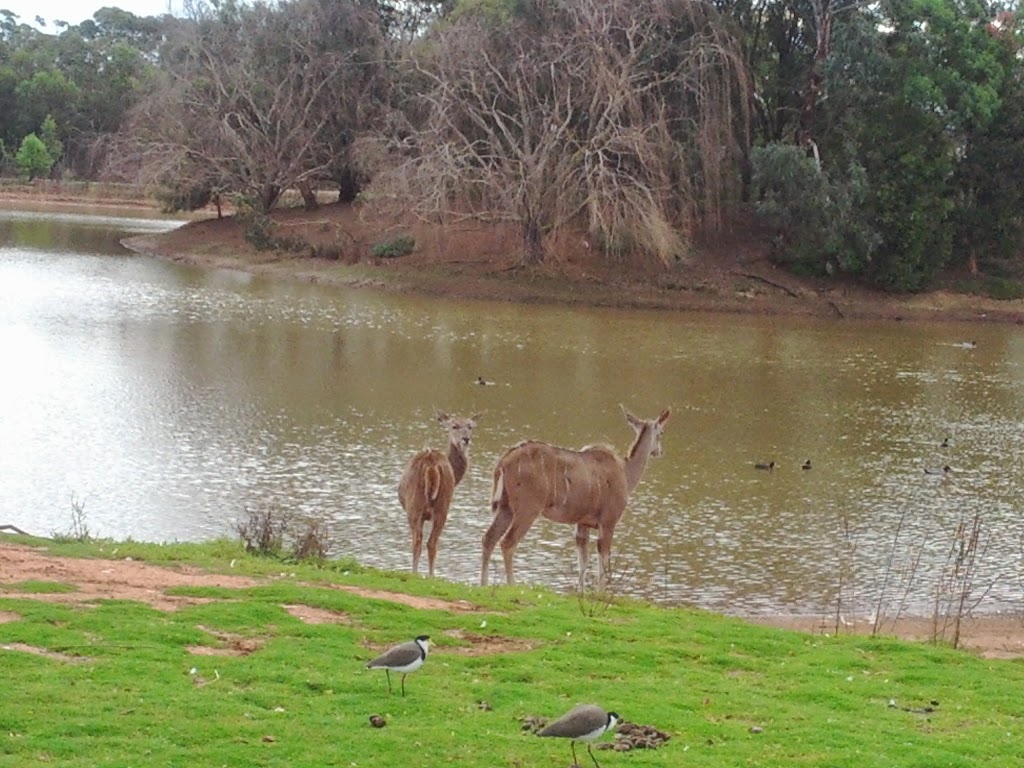 Coomoora Reserve | park | Keysborough VIC 3173, Australia