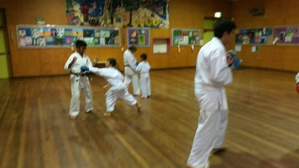 Karate Academy Elderslie | 170 Lodges Rd, Elderslie NSW 2570, Australia | Phone: 0412 611 072