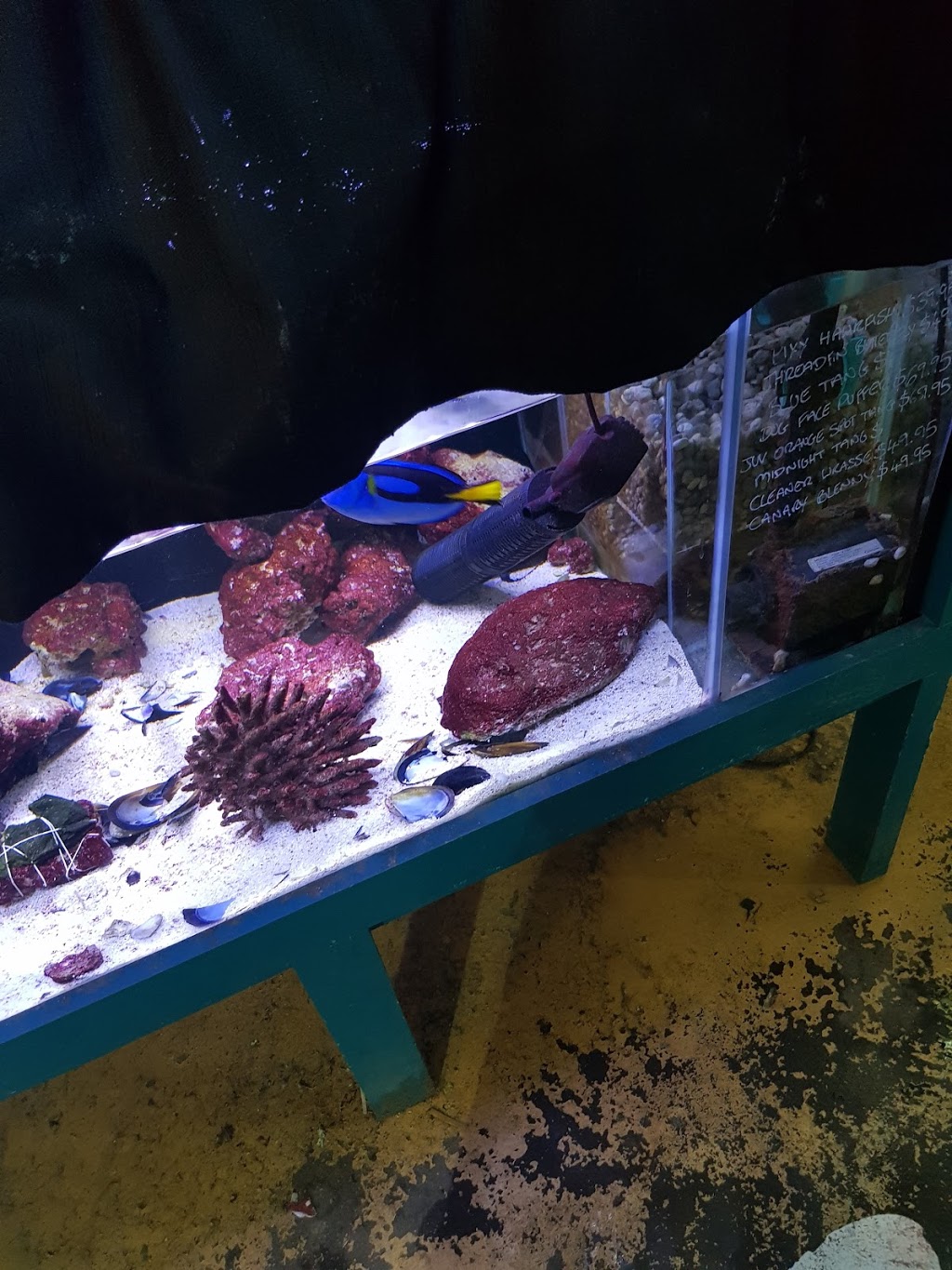 Aquariums At Cranbourne | pet store | 14 Cooper Ct, Cranbourne VIC 3977, Australia | 0359955066 OR +61 3 5995 5066