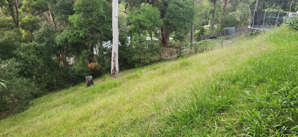 Pacific Palms Mowing | Boomerang Dr, Boomerang Beach NSW 2428, Australia | Phone: 0484 037 930