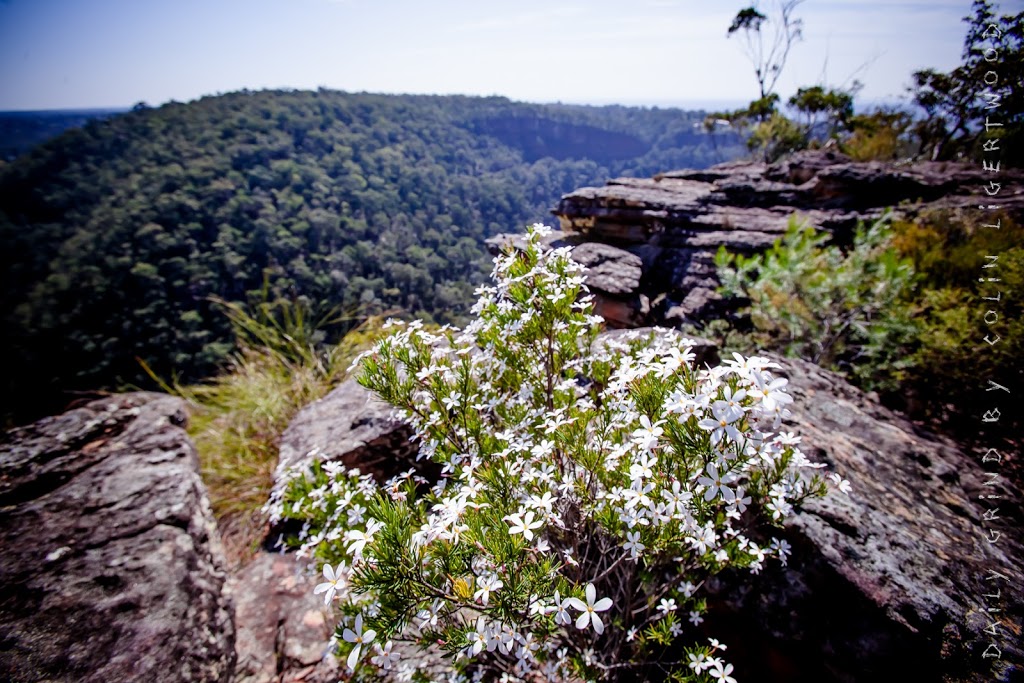 Tunnel View Lookout | Glenbrook NSW 2787, Australia | Phone: (02) 4720 6200