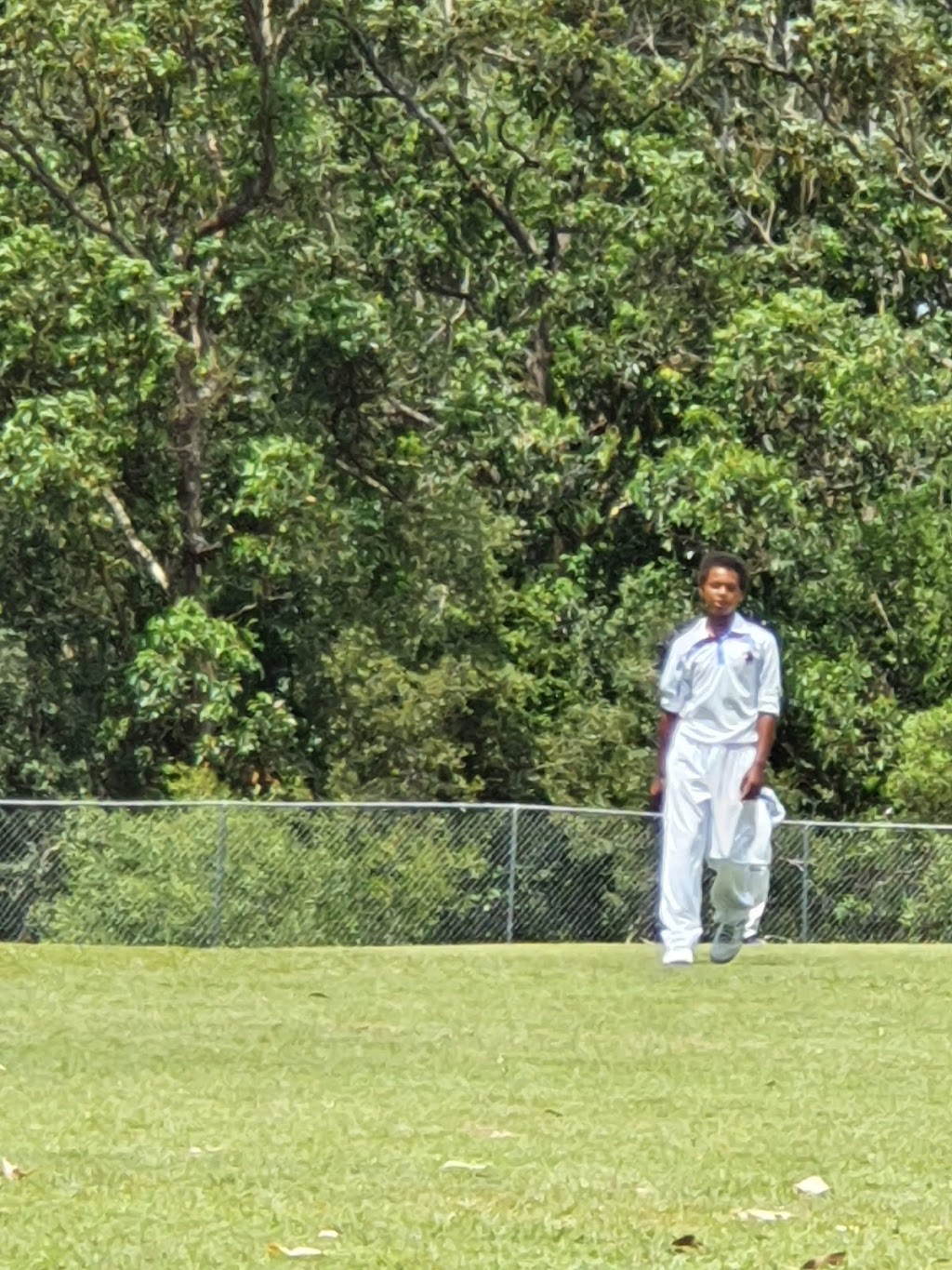 Maroochydore Cricket Club | Syd Lingard Dr, Buderim QLD 4556, Australia | Phone: (07) 5453 7967