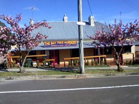 The Bay Tree Nursery | store | 26 Station St, Mount Victoria NSW 2786, Australia | 0247871851 OR +61 2 4787 1851