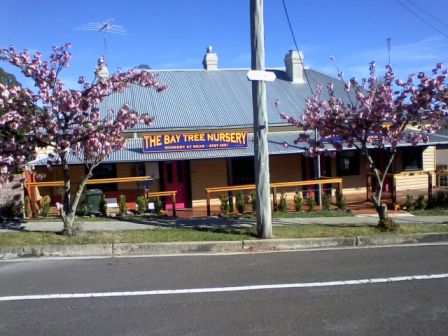 The Bay Tree Nursery | 26 Station St, Mount Victoria NSW 2786, Australia | Phone: (02) 4787 1851