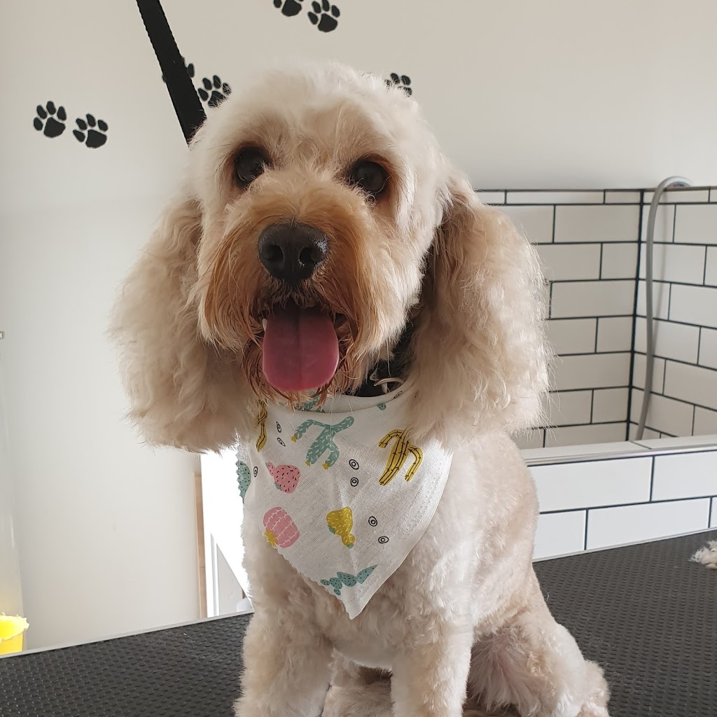 Absolute PAWfection Dog Grooming | 11 Higgins St, Plumpton VIC 3335, Australia | Phone: 0415 423 822