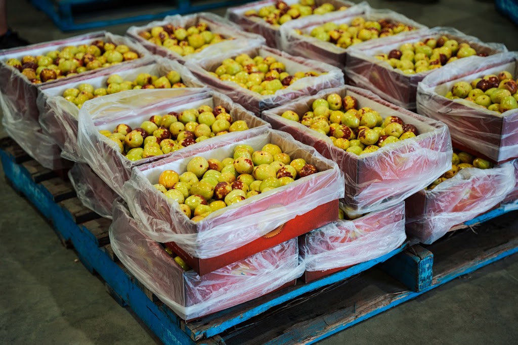 Royal Jujube | Lakes Rd, Lake Wyangan NSW 2680, Australia | Phone: 0474 731 504