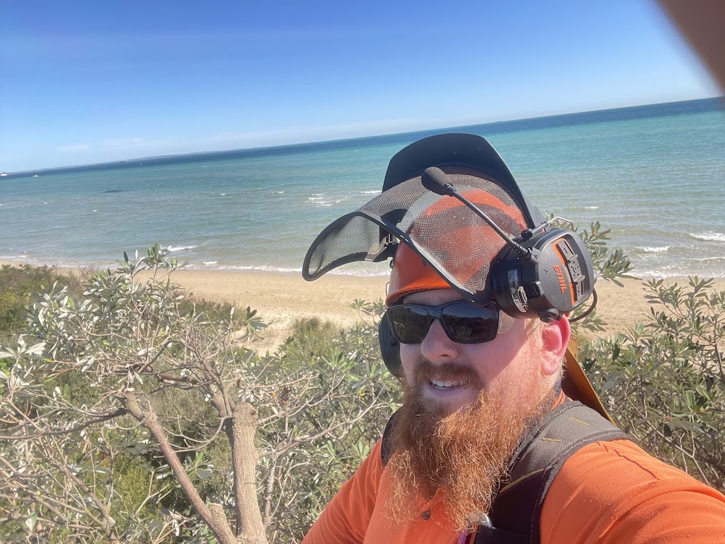 Pat’s Timber and Tree Services | 40 Ridge Bvd, Yinnar VIC 3869, Australia | Phone: 0468 939 833