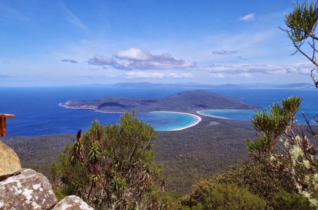 The Maria Island Guided Walk | Darlington, Maria Island TAS 7000, Australia | Phone: 0400 882 742