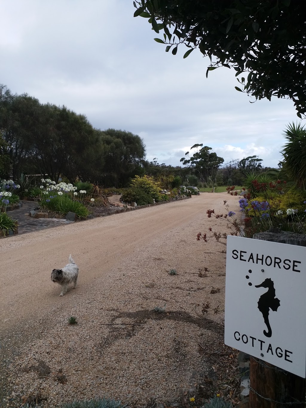 Seahorse Cottage | lodging | Couper Dr, Marlo VIC 3888, Australia | 0429449494 OR +61 429 449 494
