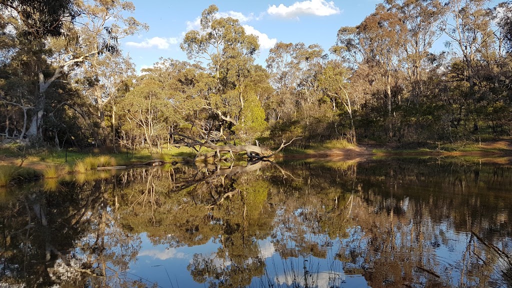 Mount Majura Nature Reserve | Australian Capital Territory, Australia