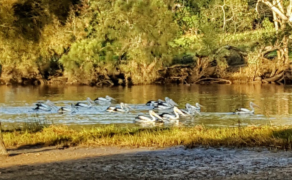 Reg Bond Reserve | Viveash WA 6056, Australia