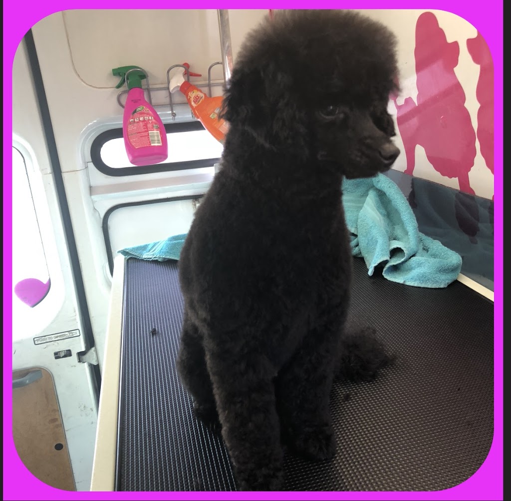 The fur salon mobile dog &cat grooming |  | 22 Kelly St, Austral NSW 2179, Australia | 0435204824 OR +61 435 204 824