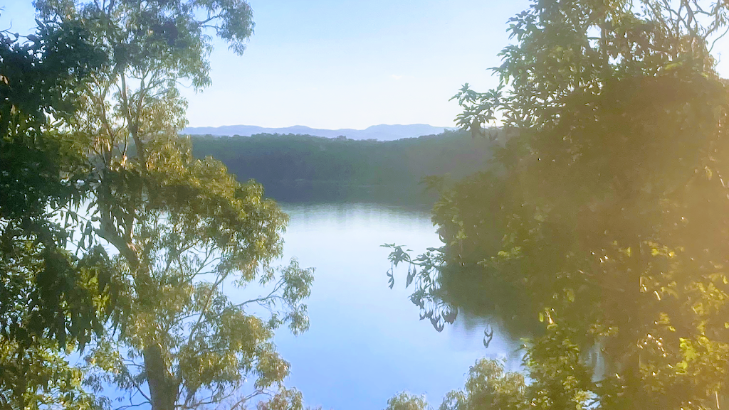 Nature Coast Tree Care | Jennifer Pl, Moruya Heads NSW 2537, Australia | Phone: 0410 071 616