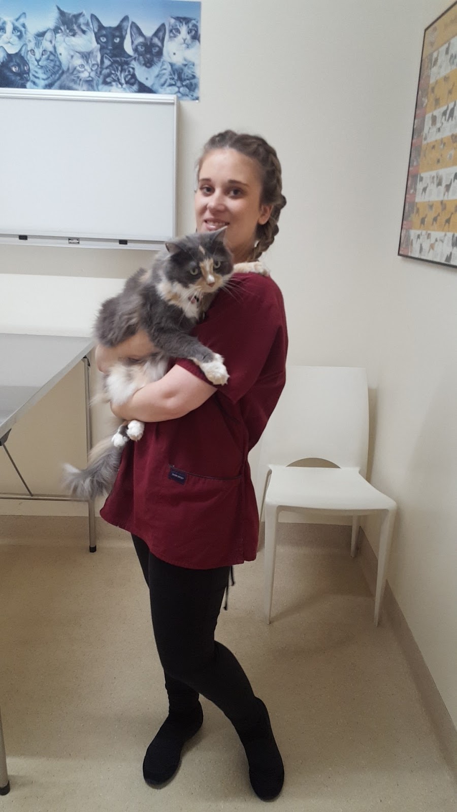 Hoppers Crossing Veterinary Clinic & Hospital | pet store | 5 Barber Dr, Hoppers Crossing VIC 3029, Australia | 0397486644 OR +61 3 9748 6644