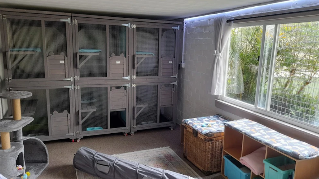 Kats Cat Care | 56 Terrymont Rd, Warrimoo NSW 2774, Australia | Phone: 0423 077 882