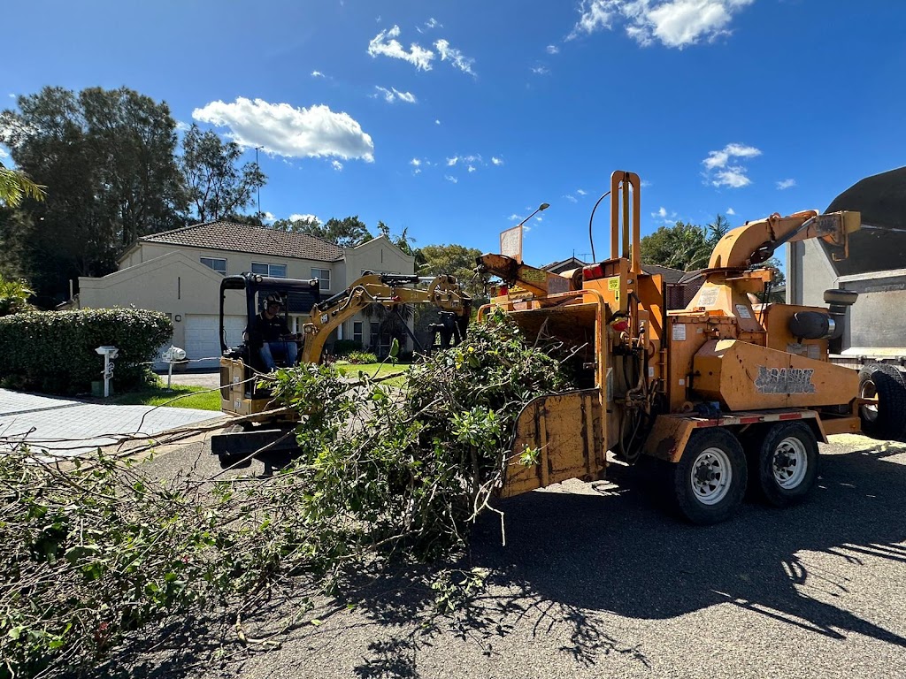 Pro Arborists northern beaches | 42A Tennyson Rd, Cromer NSW 2099, Australia | Phone: 0452 200 715