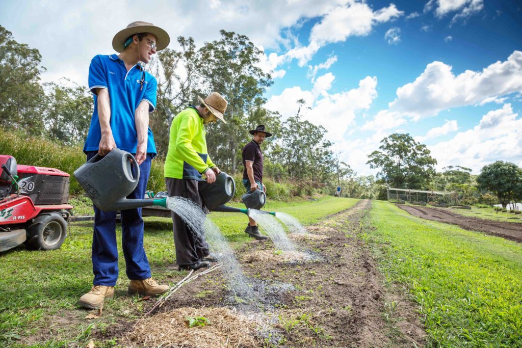 Compass Institute (Farm) | 48 Christensens Rd, Palmwoods QLD 4555, Australia | Phone: (07) 5445 9116