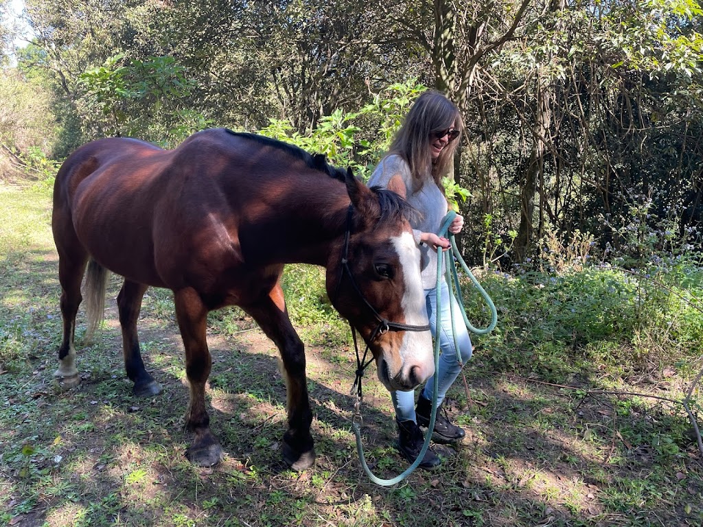 Equine Assisted Learning |  | Kureelpa Falls Rd, Kureelpa QLD 4560, Australia | 0411644313 OR +61 411 644 313