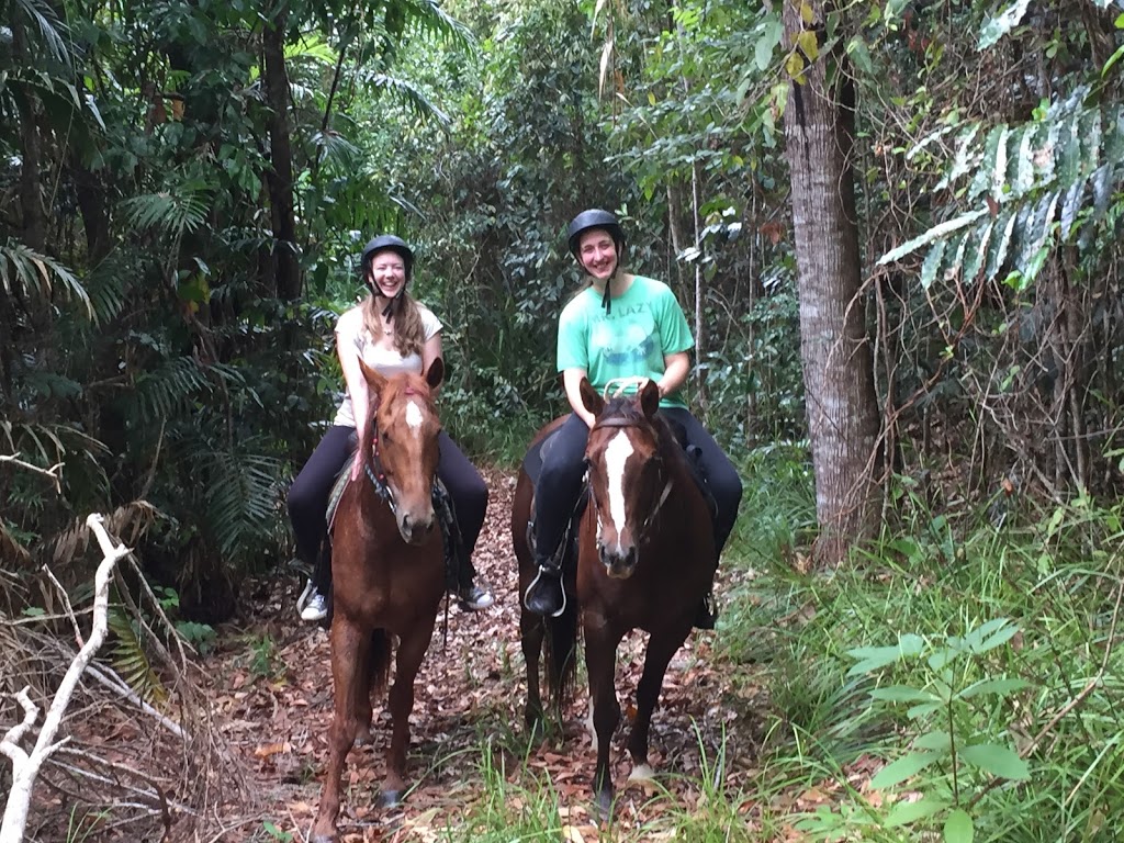 Reinsdown Horse Riding | 75 Aerodrome Rd, Tully QLD 4854, Australia | Phone: 0436 375 989