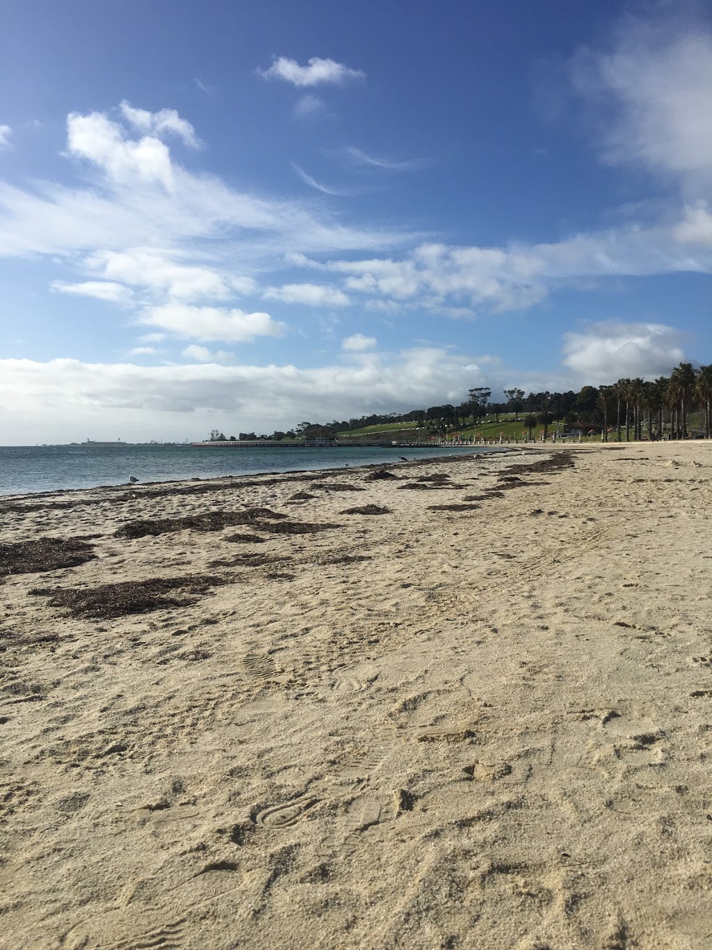 Eastern Beach Reserve | park | Geelong VIC 3220, Australia