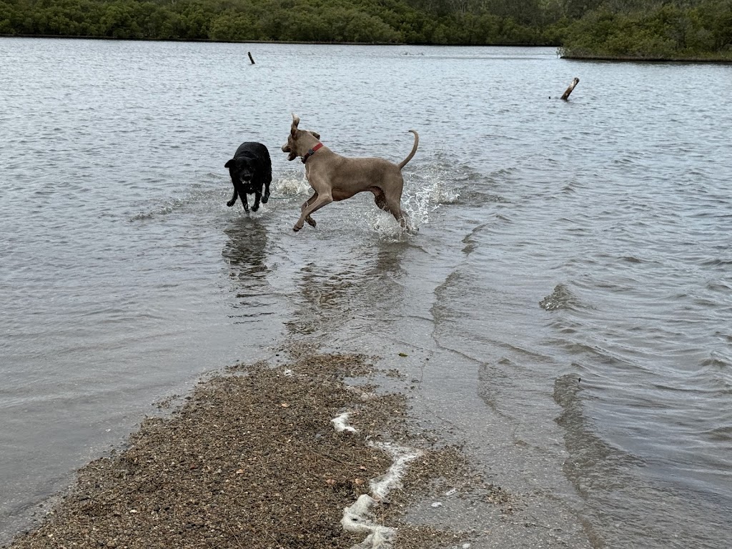 Pack Leader Dog Services | 15 Charlotte St, Holmesville NSW 2286, Australia | Phone: 0415 421 805