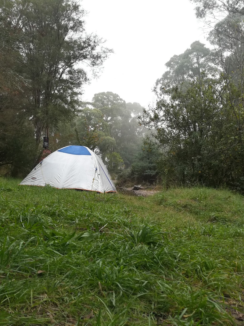 Walnuts Campground | campground | 6961 Omeo Hwy, Mitta Mitta VIC 3701, Australia