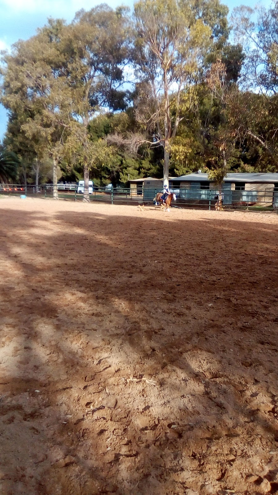 womma equestrian and agistment centre |  | 529 Womma Rd, Penfield SA 5121, Australia | 0424530062 OR +61 424 530 062