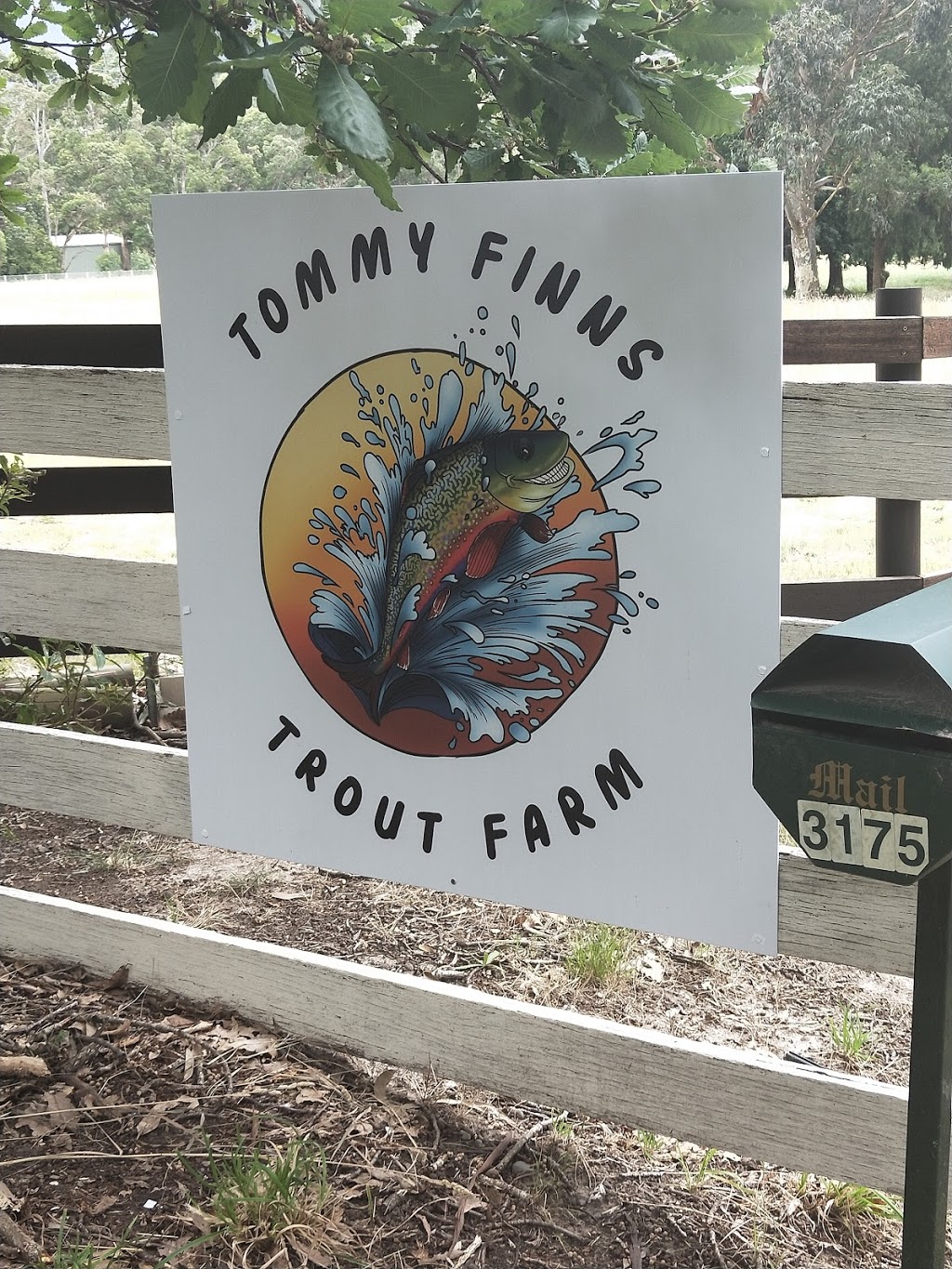 Tommy Finns Trout Farm | tourist attraction | 3175 Warburton Hwy, Warburton VIC 3799, Australia | 0419166653 OR +61 419 166 653