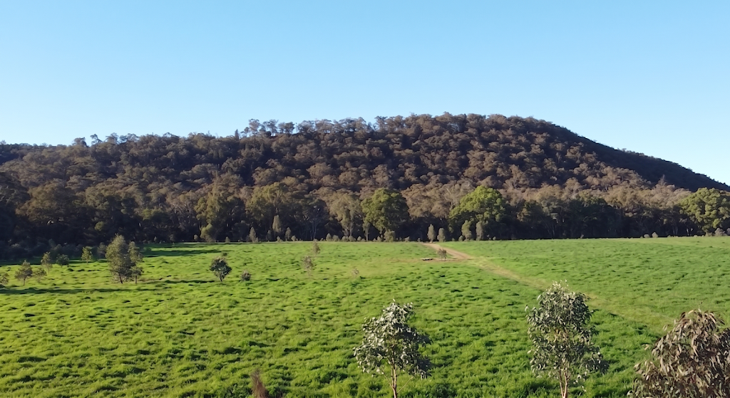 Stargrazers | 2493 Sandy Creek Rd, Dunedoo NSW 2844, Australia | Phone: 0405 478 988