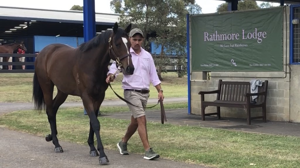 Rathmore Bloodstock & Lodge | 169 Bondleigh Rd, Rockleigh SA 5254, Australia | Phone: 0487 173 989