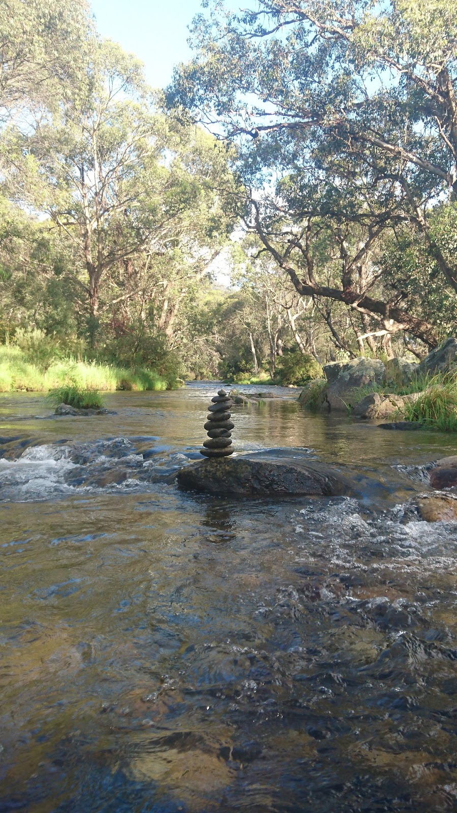 Big River Bridge Campground | campground | 4466 C543, Glen Valley VIC 3898, Australia