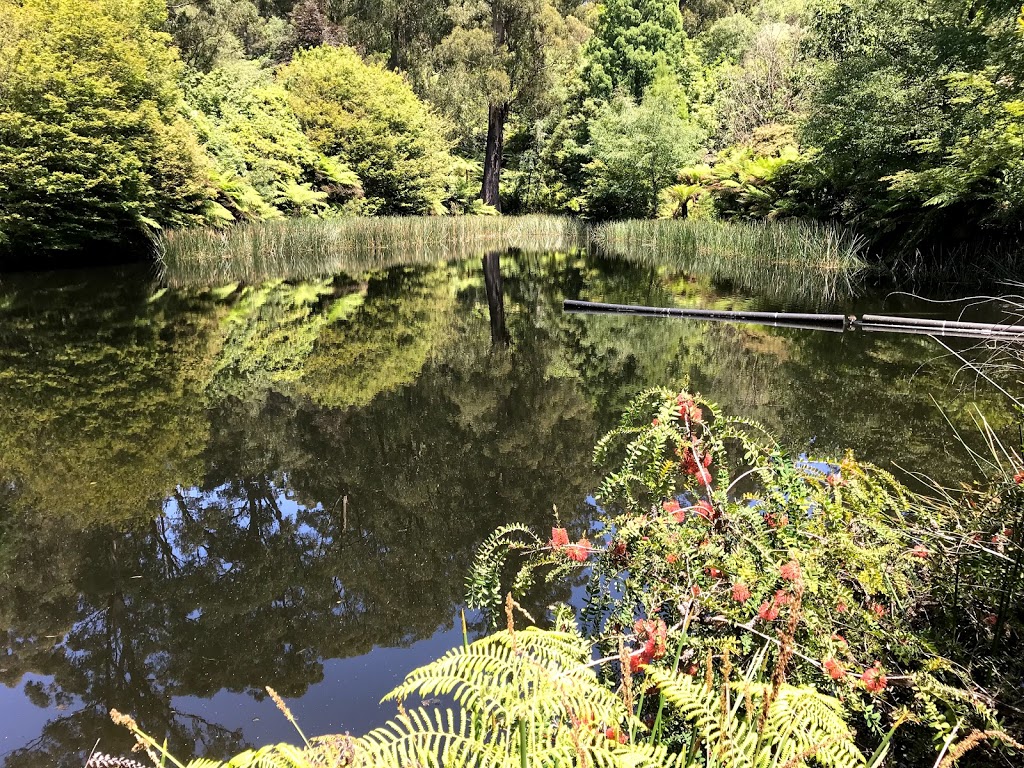 National Rhodedenderon Garden Ornamental Lake | Olinda VIC 3788, Australia