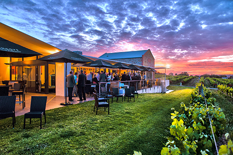 Angove Family Winemakers | store | 117 Chalk Hill Rd, McLaren Vale SA 5171, Australia | 0883236900 OR +61 8 8323 6900
