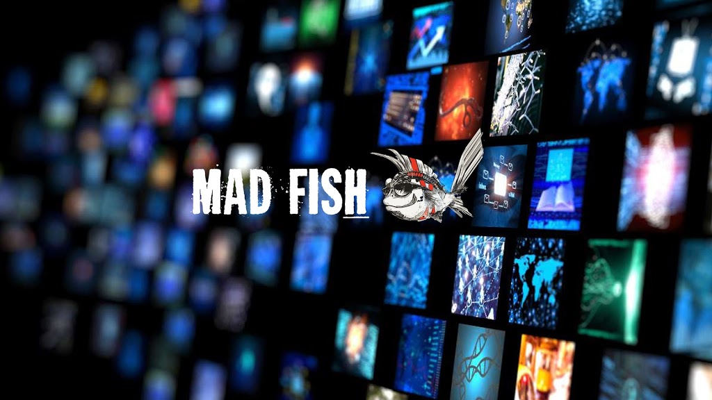 Mad Fish Media |  | U4/6 Darwin Ave, Little Bay NSW 2036, Australia | 0418120065 OR +61 418 120 065
