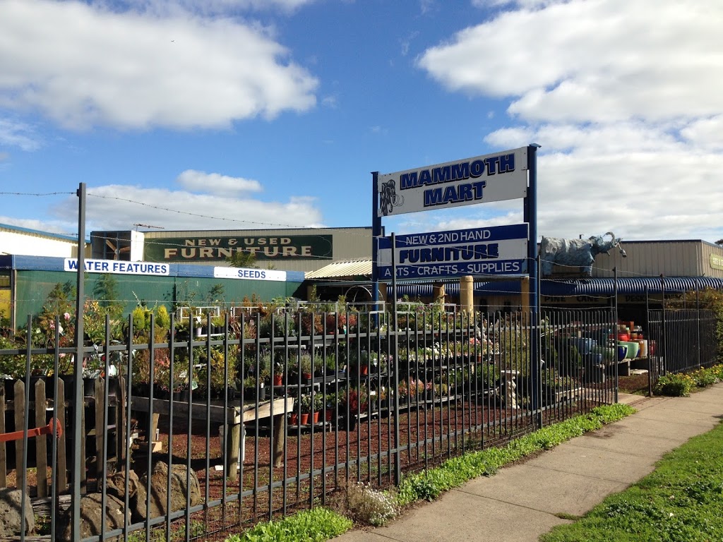 Mammoth Mart | furniture store | 261 Manifold St, Camperdown VIC 3260, Australia | 0355931277 OR +61 3 5593 1277