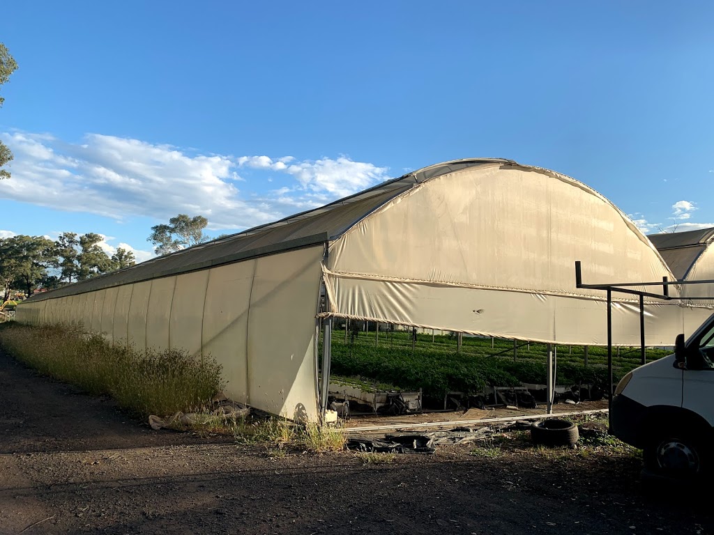 MANZ Greenhouse Supply | food | Wynyard Ave, Rossmore NSW 2557, Australia | 0451136800 OR +61 451 136 800