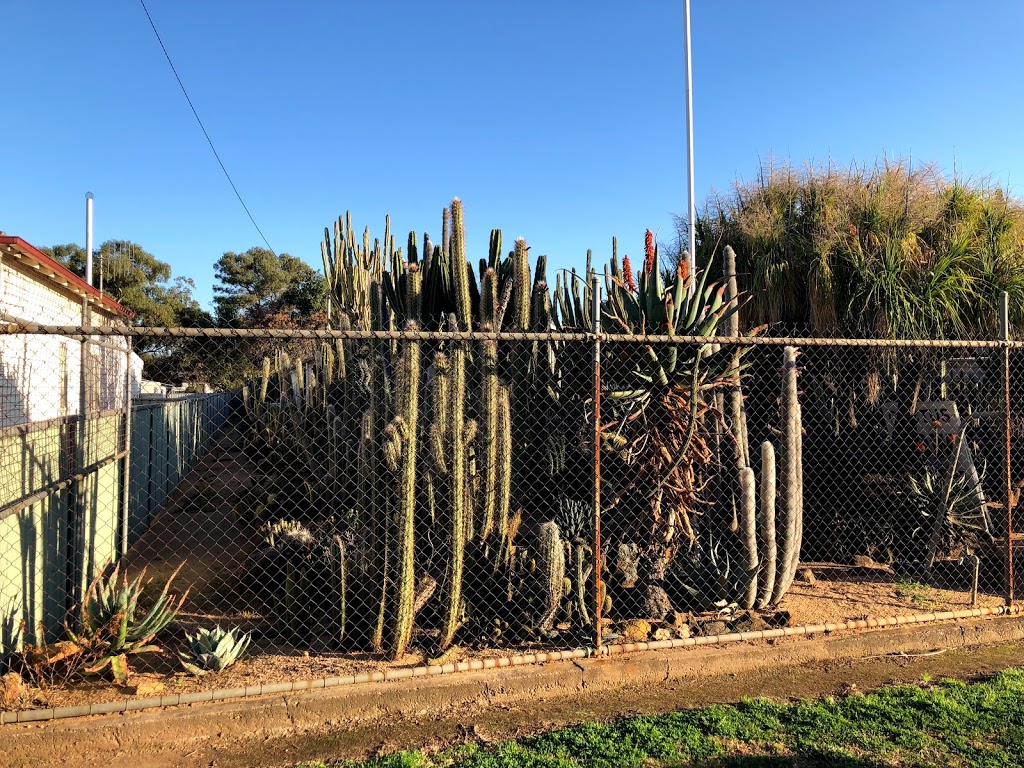 Orana Cactusworld | park | 29 Castlereagh St, Gilgandra NSW 2827, Australia | 0268470806 OR +61 2 6847 0806