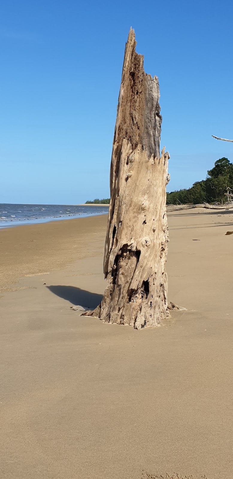 Kurrimine Beach National Park and Kurrimine Beach Conservation P | Kurrimine Beach QLD 4871, Australia