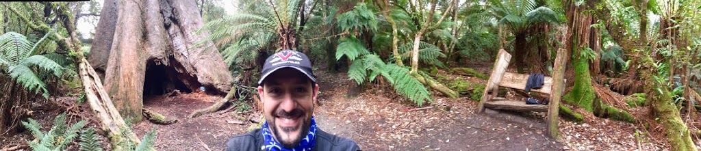 Blue Tier Forest Reserve | park | Tasmania, Australia