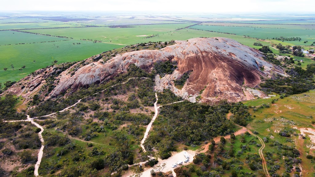 Wattle Grove Campground | 1661 Edmonds Rd, Wudinna SA 5652, Australia | Phone: 0473 907 094