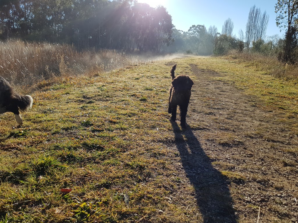 Gosling Creek Reserve Dog Park | park | 21 Bloomfield Rd, Orange NSW 2800, Australia