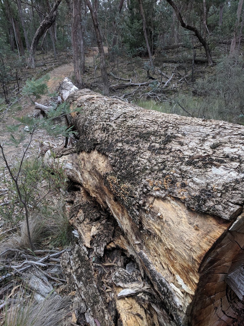 Mullions Range | park | New South Wales 2800, Australia